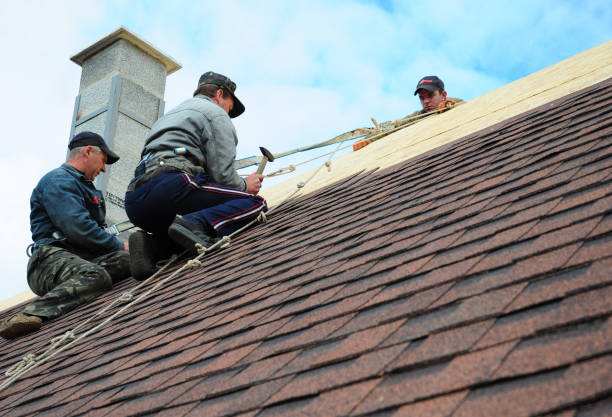 Best Roof Leak Repair  in Owingsville, KY